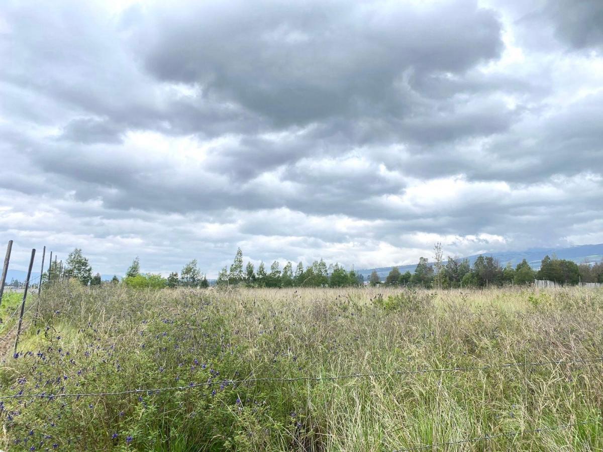 En Venta Terreno en Tabacundo — imagen 9