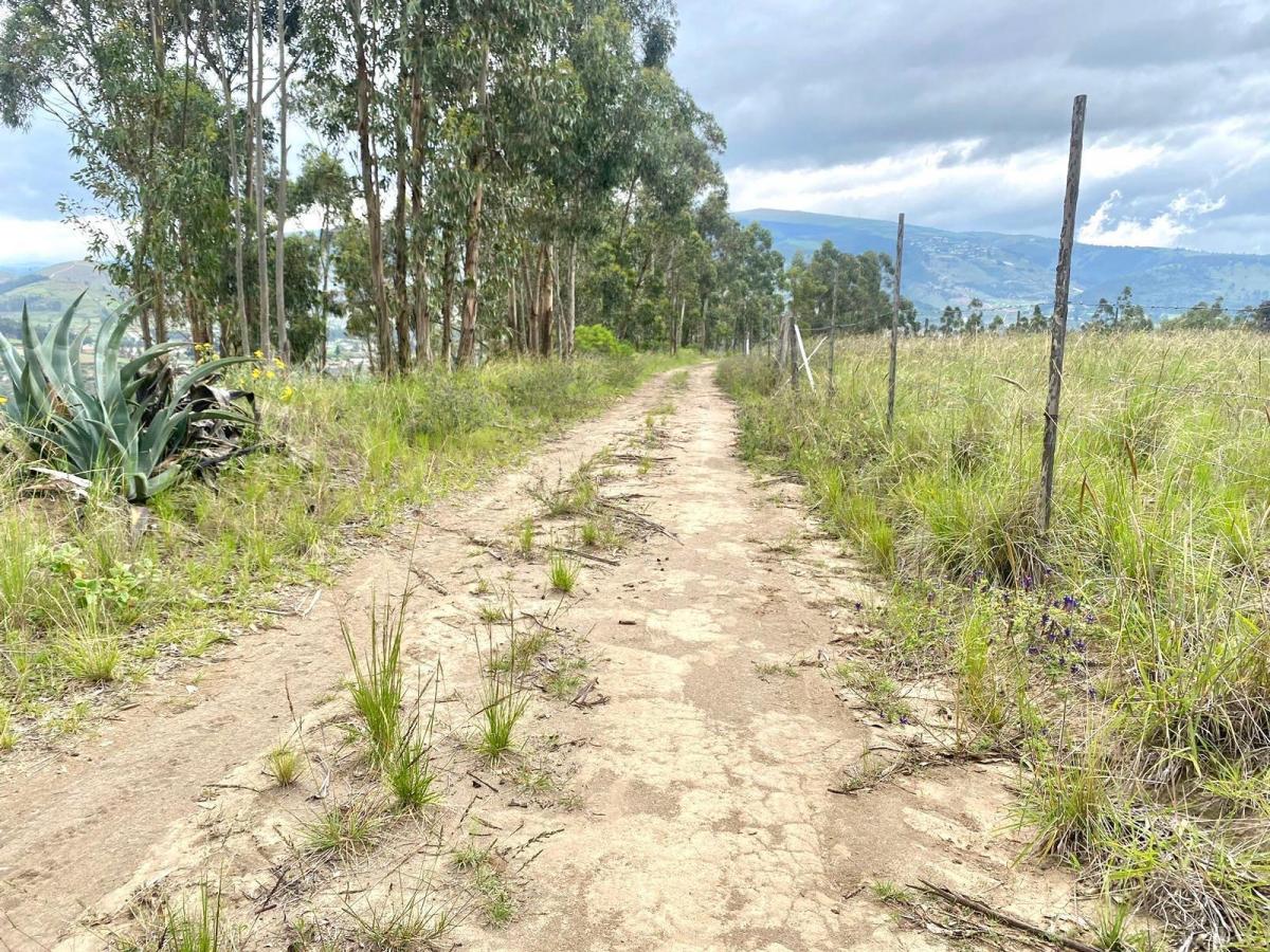 En Venta Terreno en Tabacundo — imagen 8