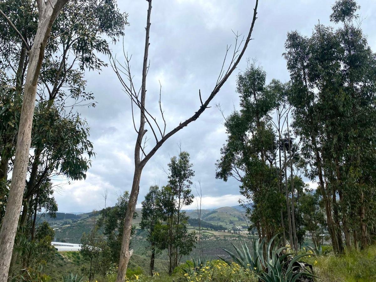 En Venta Terreno en Tabacundo — imagen 7