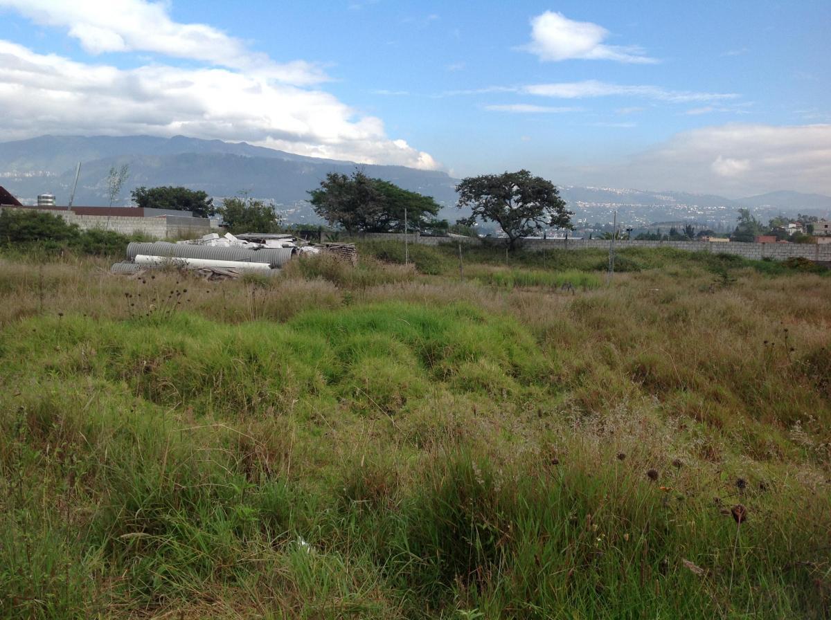 Venta Terreno de 4149 m² Oportunidad en Tumbaco Calle Aurelio Dávila — imagen 10