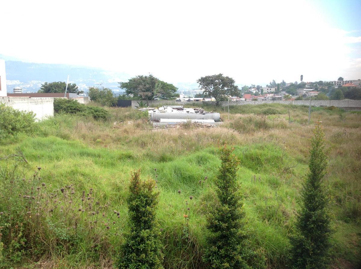 Venta Terreno de 4149 m² Oportunidad en Tumbaco Calle Aurelio Dávila — imagen 8