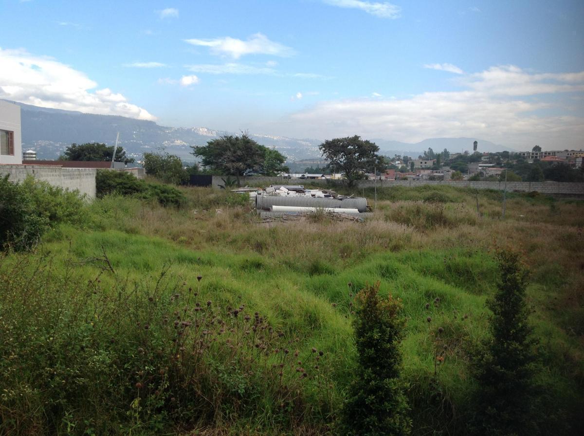 Venta Terreno de 4149 m² Oportunidad en Tumbaco Calle Aurelio Dávila — imagen 7
