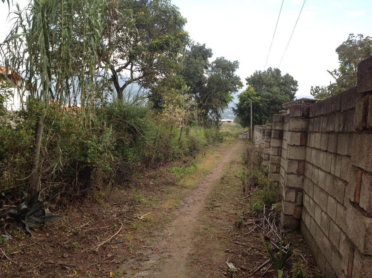 Venta Terreno de 4149 m² Oportunidad en Tumbaco Calle Aurelio Dávila — imagen 6