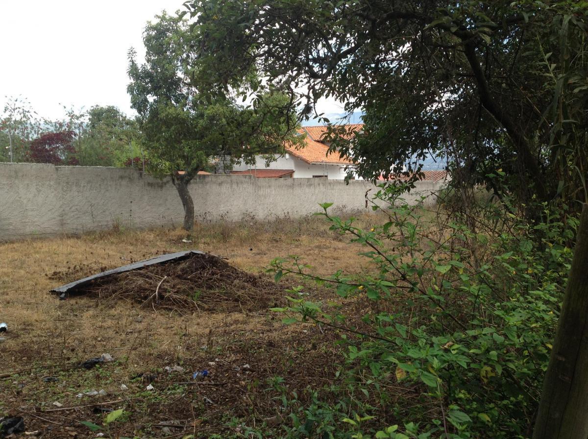 Venta Terreno de 4149 m² Oportunidad en Tumbaco Calle Aurelio Dávila — imagen 4