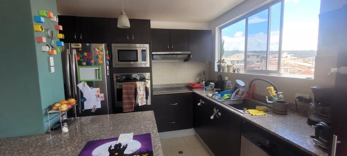 Venta Lindo Departamento Los Laureles Monteserrin — imagen 5