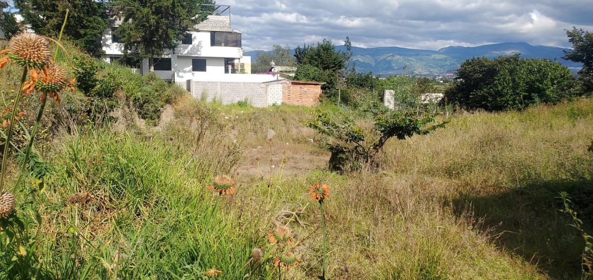 Venta Lindo Terreno 1086 m² Sector Santa Inés - Cumbayá — imagen 10