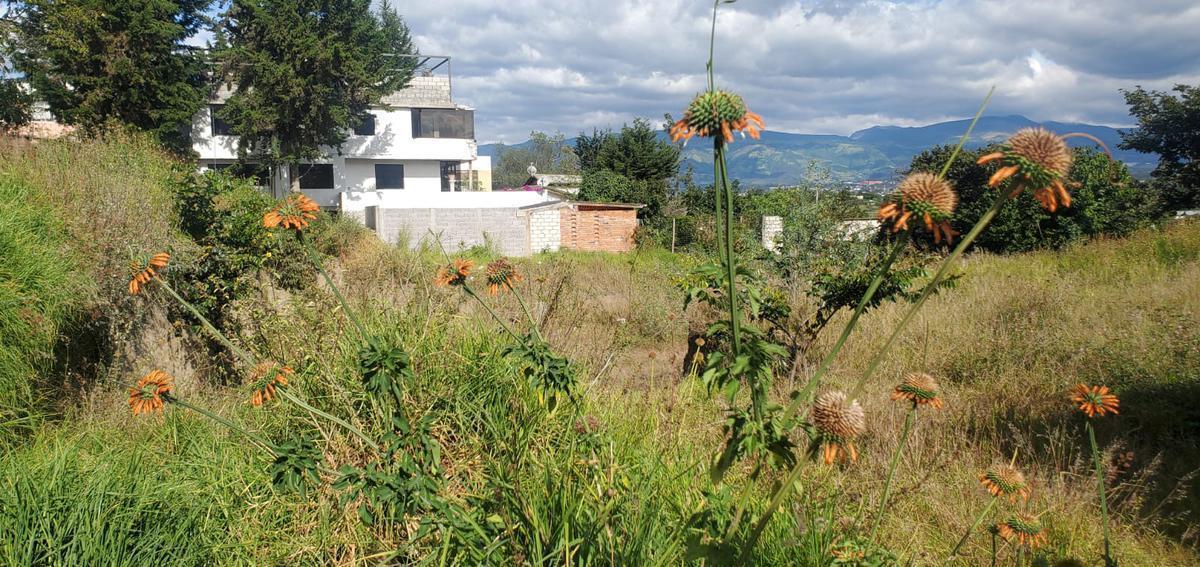 Venta Lindo Terreno 1086 m² Sector Santa Inés - Cumbayá — imagen 5