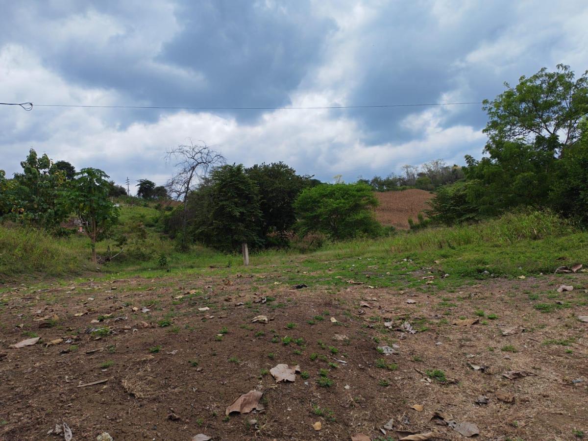 Venta Terreno Vía Jipijapa - Guayaquil. Recinto San Vicente. Vyj, Manabí — imagen 10