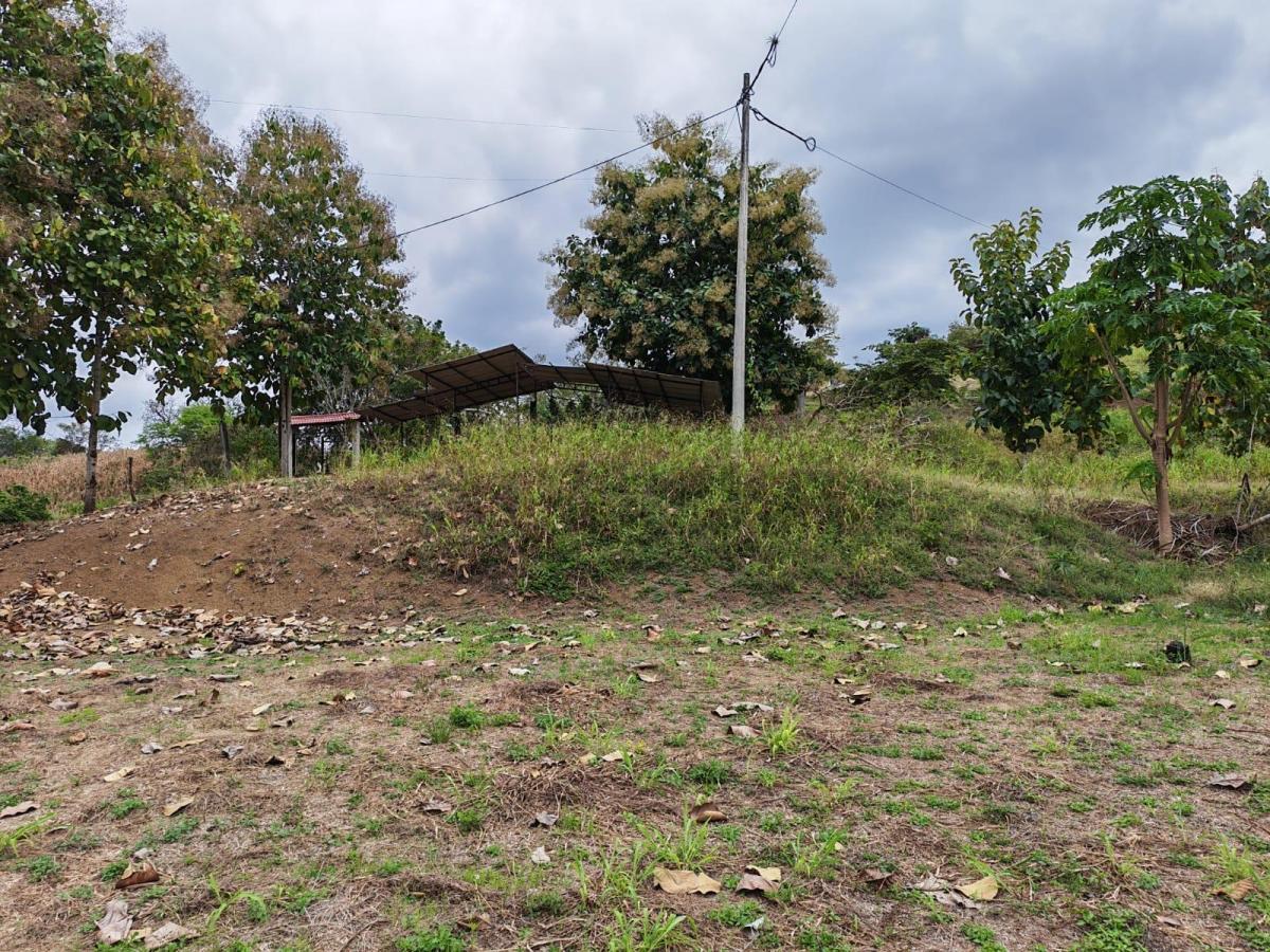 Venta Terreno Vía Jipijapa - Guayaquil. Recinto San Vicente. Vyj, Manabí — imagen 8