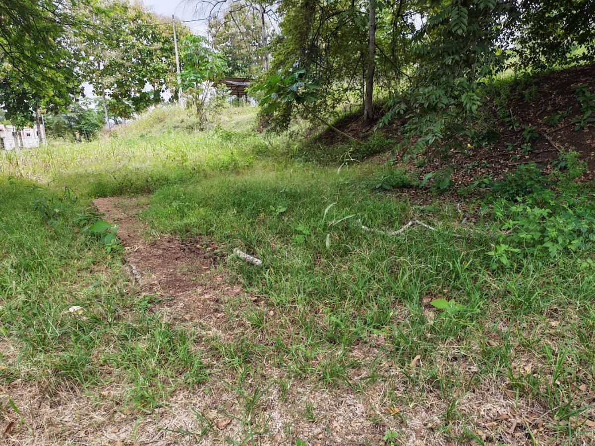 Venta Terreno Vía Jipijapa - Guayaquil. Recinto San Vicente. Vyj, Manabí — imagen 6