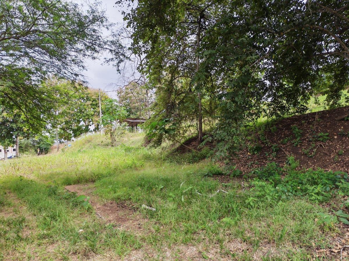 Venta Terreno Vía Jipijapa - Guayaquil. Recinto San Vicente. Vyj, Manabí — imagen 5