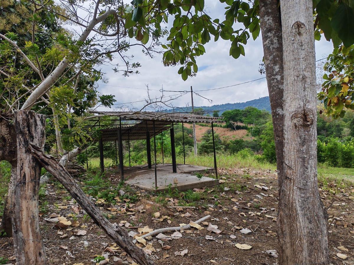 Venta Terreno Vía Jipijapa - Guayaquil. Recinto San Vicente. Vyj, Manabí — imagen 2