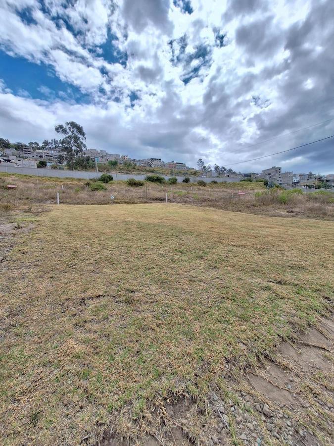 Venta Terrenos 200 m² Urbanizados, Todos Los Servicios, Sector Altos Llano Chico — imagen 7
