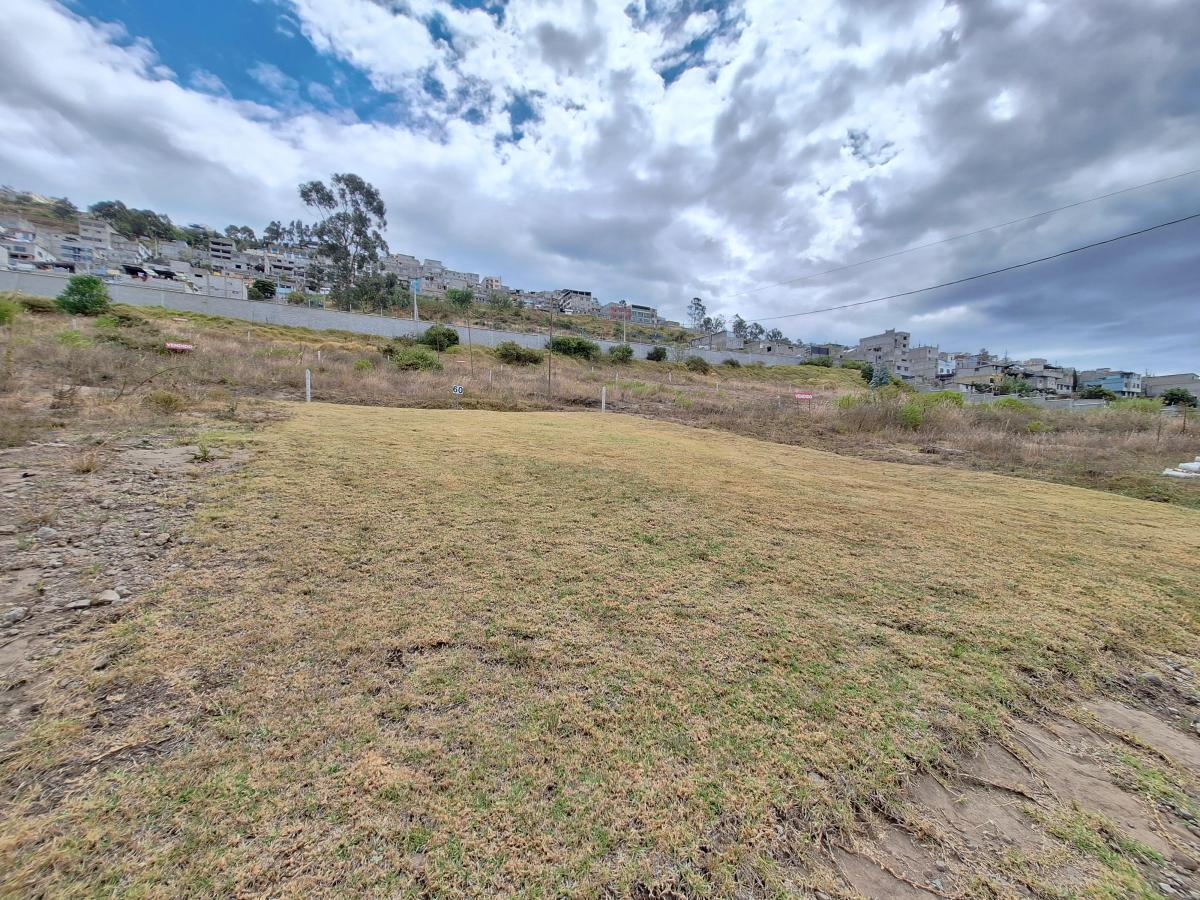 Venta Terrenos 200 m² Urbanizados, Todos Los Servicios, Sector Altos Llano Chico — imagen 6