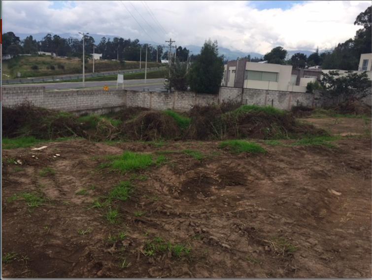 Cumbaya. Terreno de Venta. Cia Intervalles. Ideal Para Constructores — imagen 7