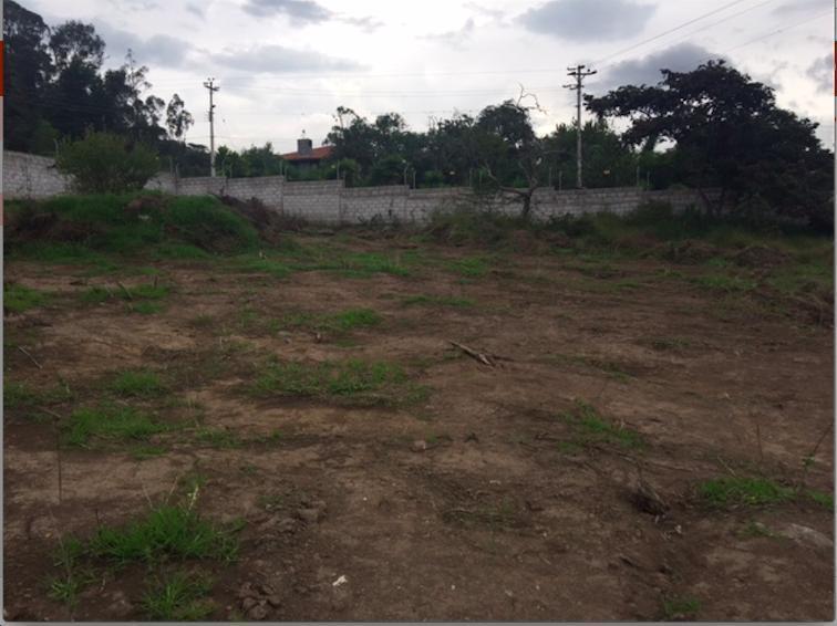 Cumbaya. Terreno de Venta. Cia Intervalles. Ideal Para Constructores — imagen 5