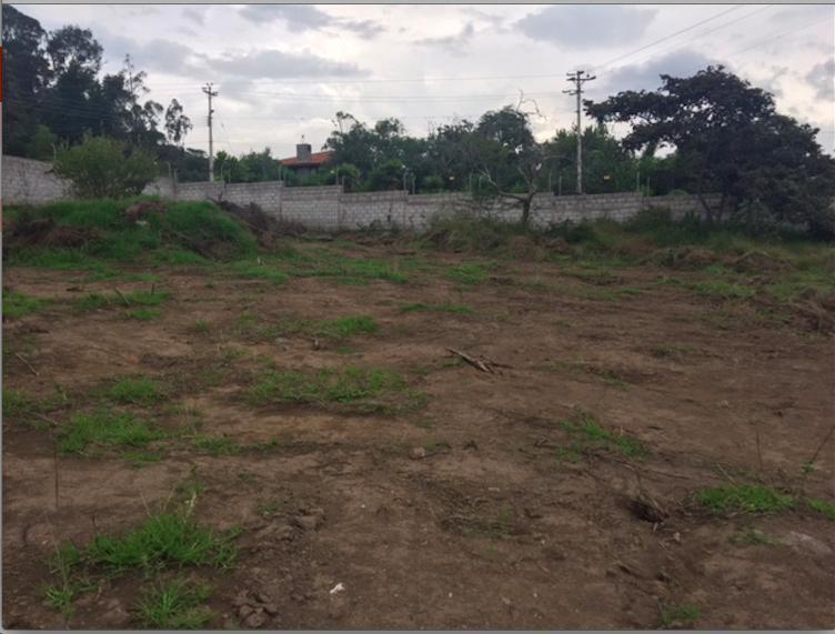 Cumbaya. Terreno de Venta. Cia Intervalles. Ideal Para Constructores — imagen 4