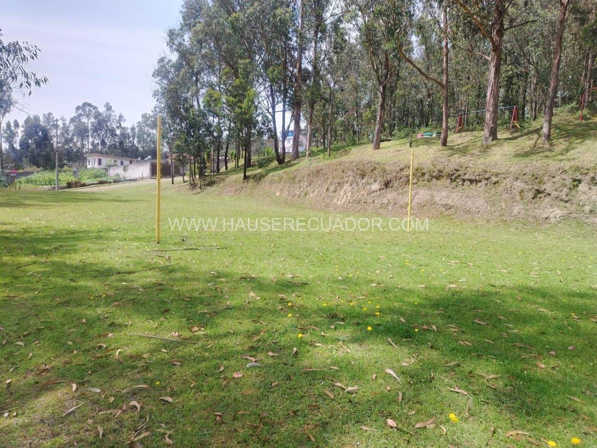 Casa por Estrenar en Conocoto con 4 Parqueaderos, Terreno de 570 m², Dentro de Urbanización — imagen 7