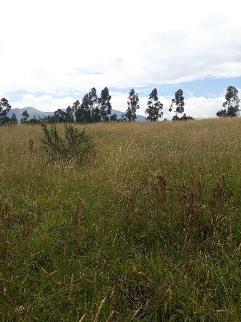 Vendo Terreno en Urbanizacion Sector Betania/los Chillos — imagen 10