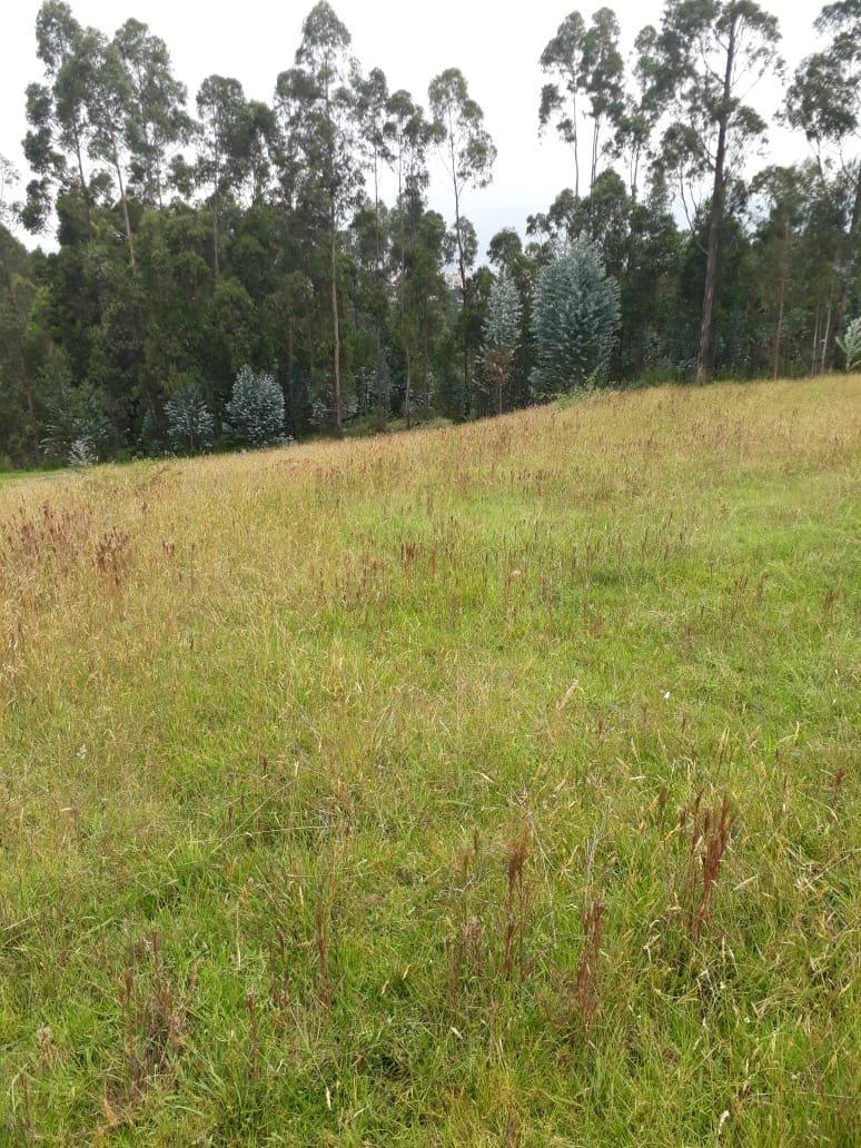 Vendo Terreno en Urbanizacion Sector Betania/los Chillos — imagen 7
