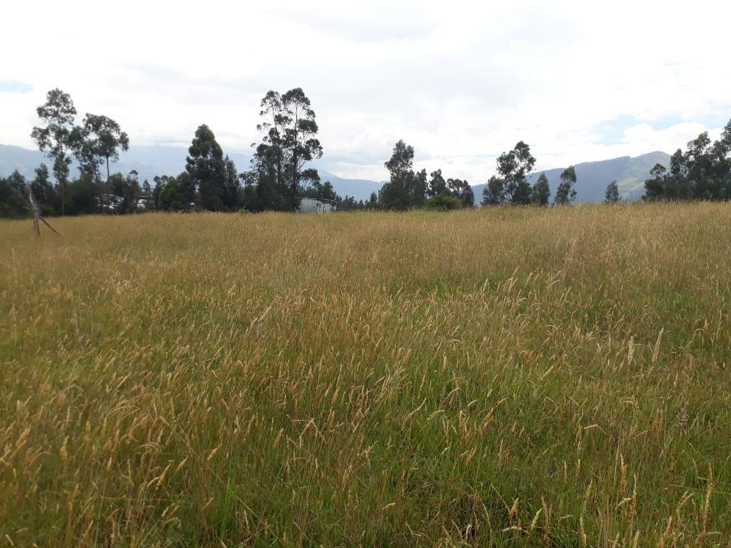 Vendo Terreno en Urbanizacion Sector Betania/los Chillos — imagen 6