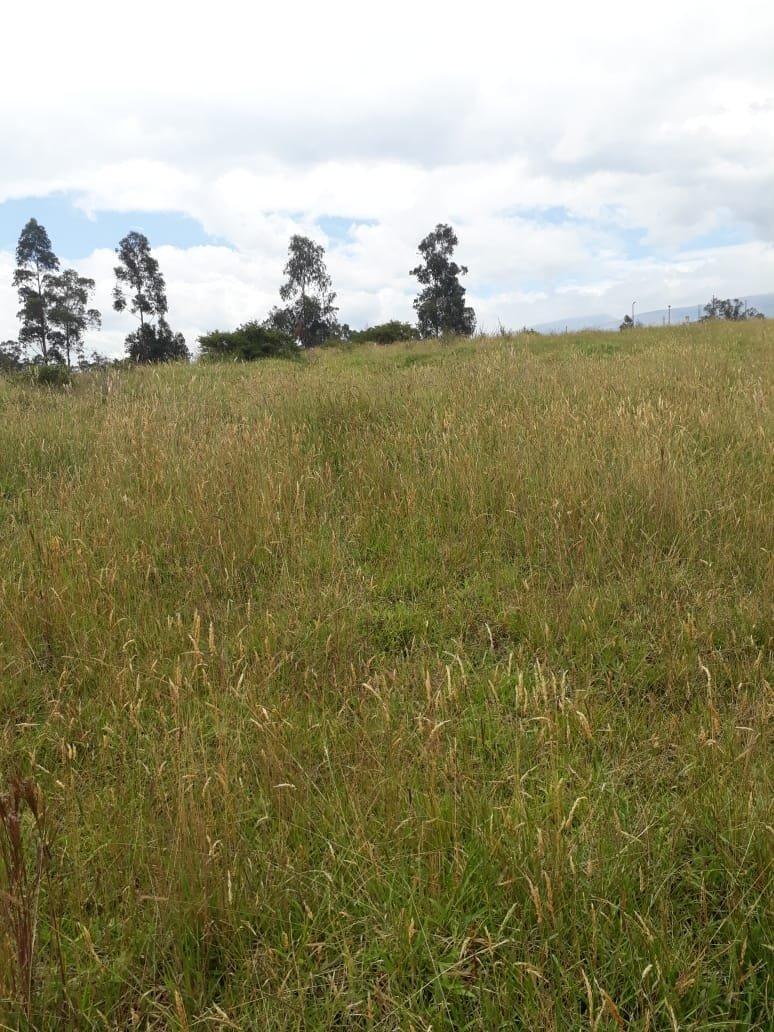 Vendo Terreno en Urbanizacion Sector Betania/los Chillos — imagen 5