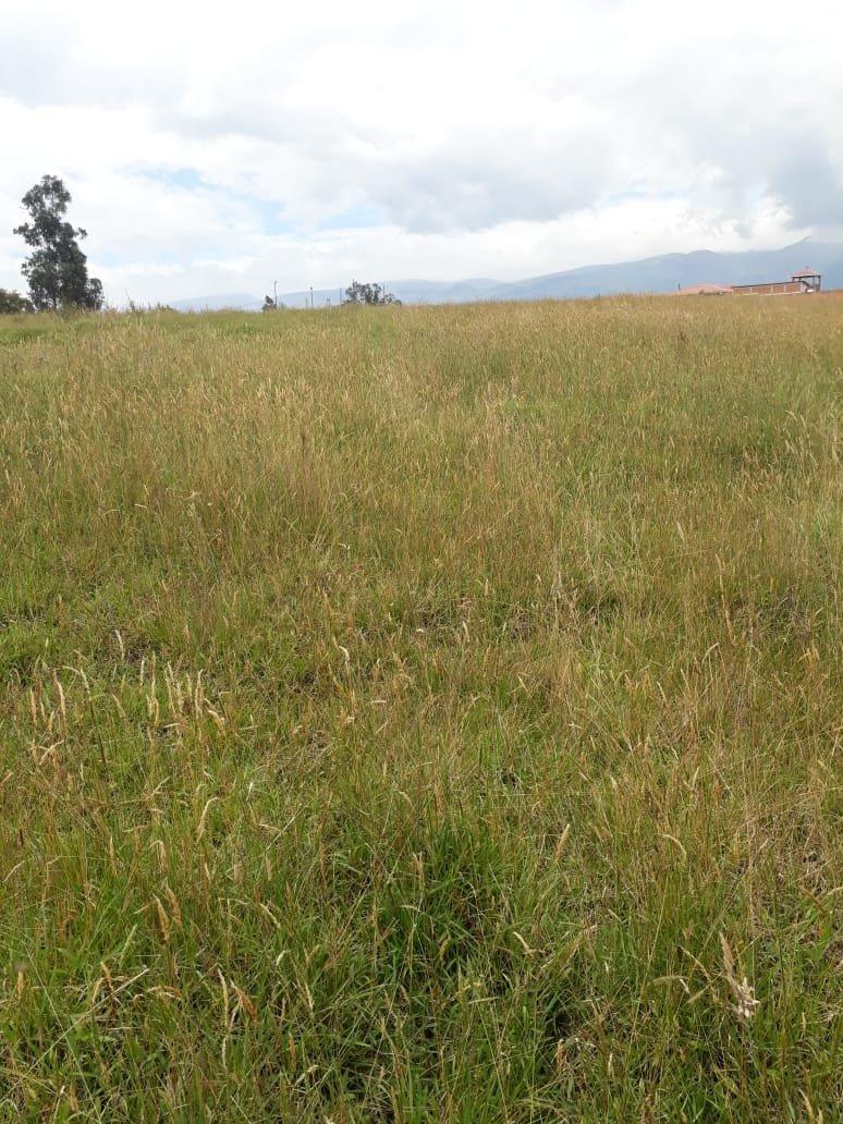 Vendo Terreno en Urbanizacion Sector Betania/los Chillos — imagen 4