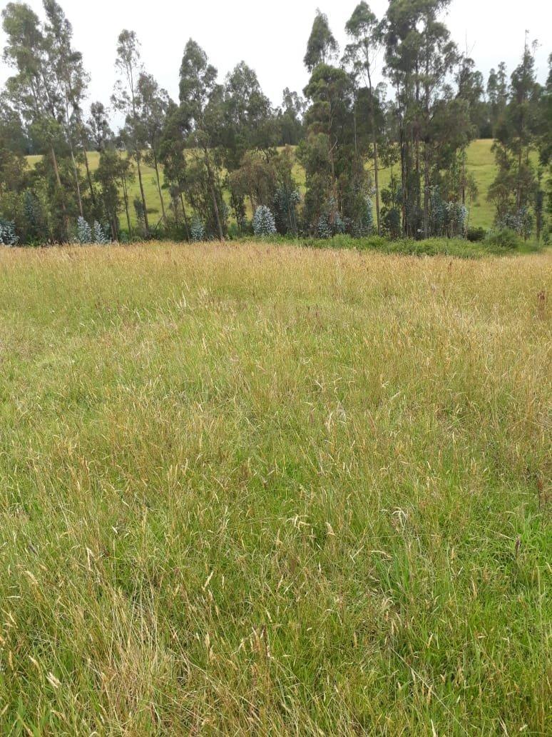 Vendo Terreno en Urbanizacion Sector Betania/los Chillos — imagen 3