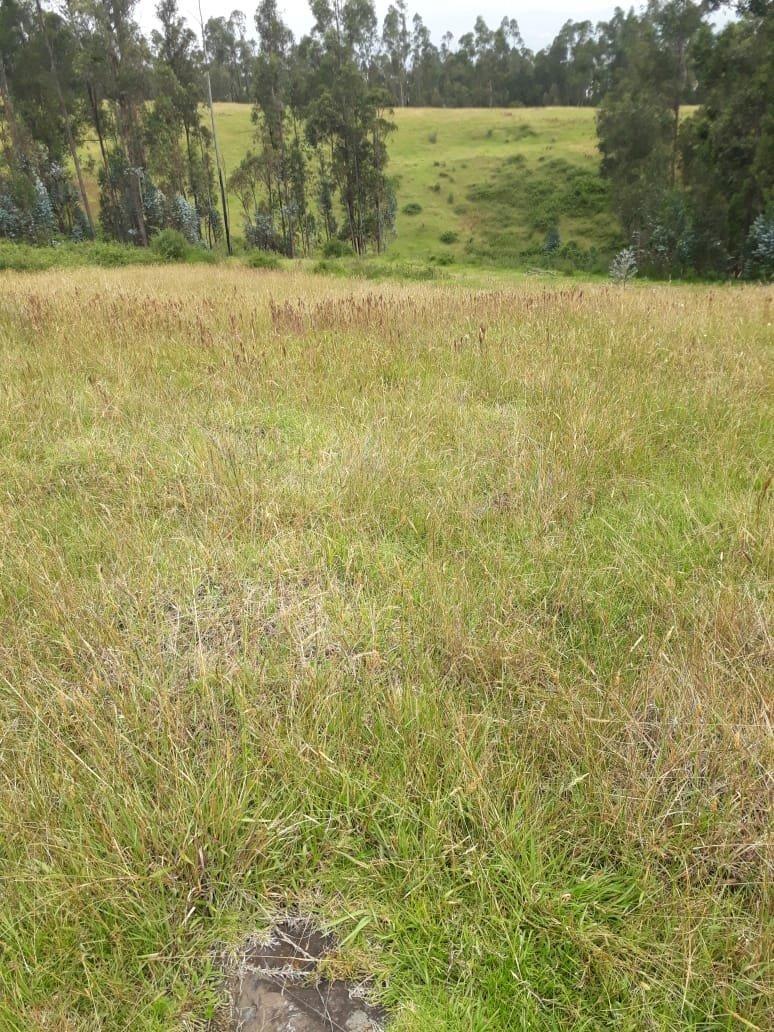 Vendo Terreno en Urbanizacion Sector Betania/los Chillos — imagen 2