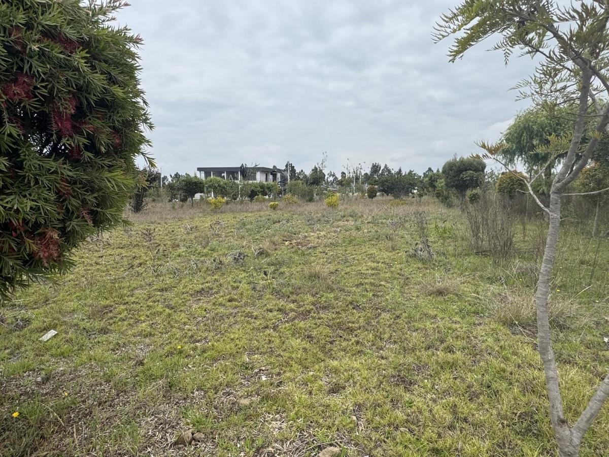 Venta Terreno de 1000 m² en Hacienda La Pradera Sector Tabacundo — imagen 9