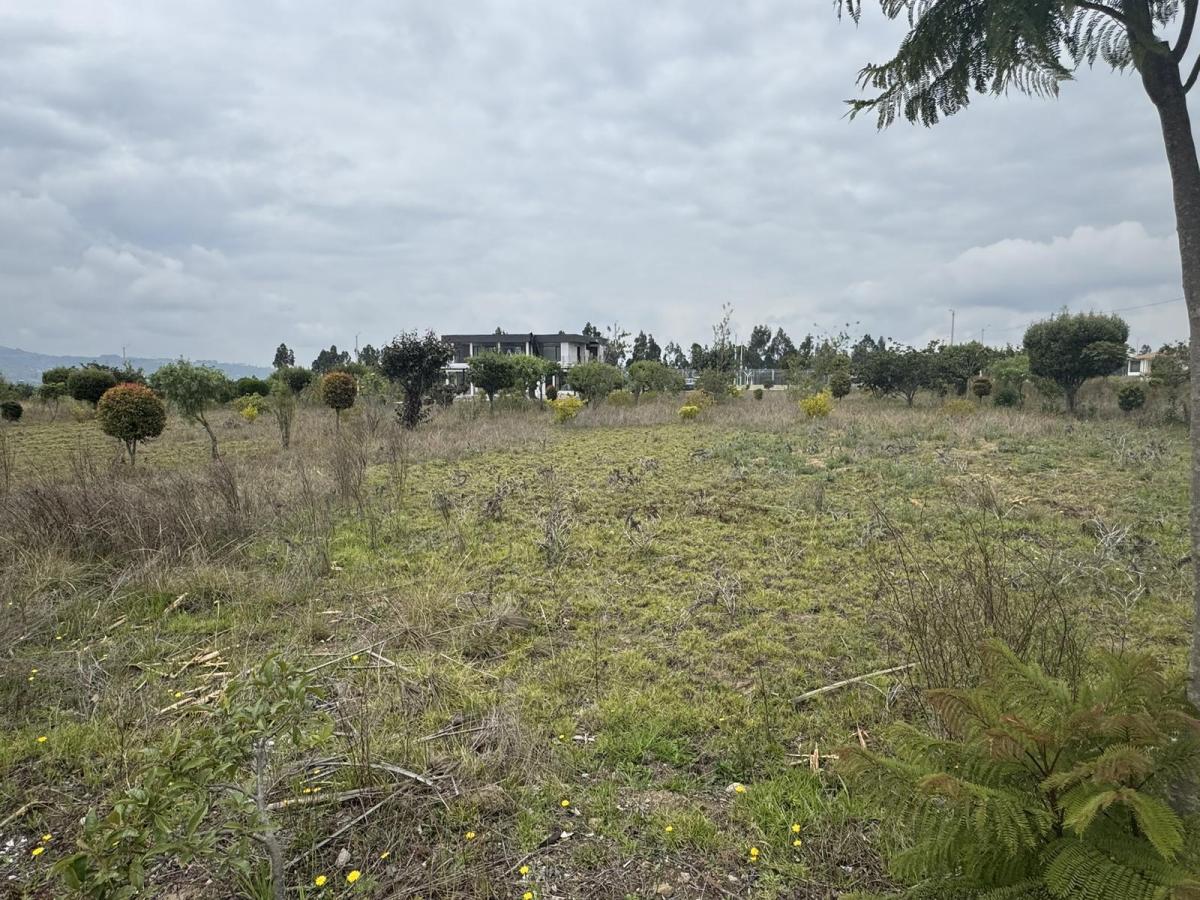 Venta Terreno de 1000 m² en Hacienda La Pradera Sector Tabacundo — imagen 7