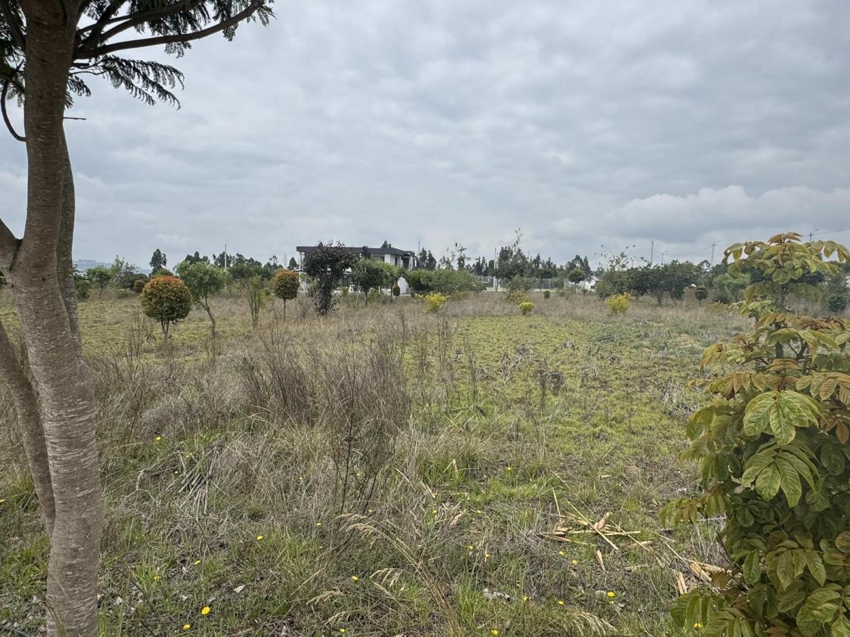 Venta Terreno de 1000 m² en Hacienda La Pradera Sector Tabacundo — imagen 6