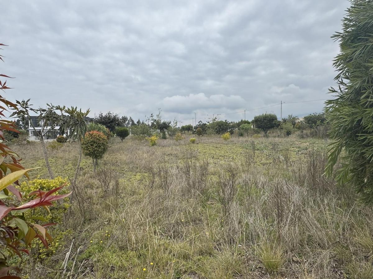 Venta Terreno de 1000 m² en Hacienda La Pradera Sector Tabacundo — imagen 4