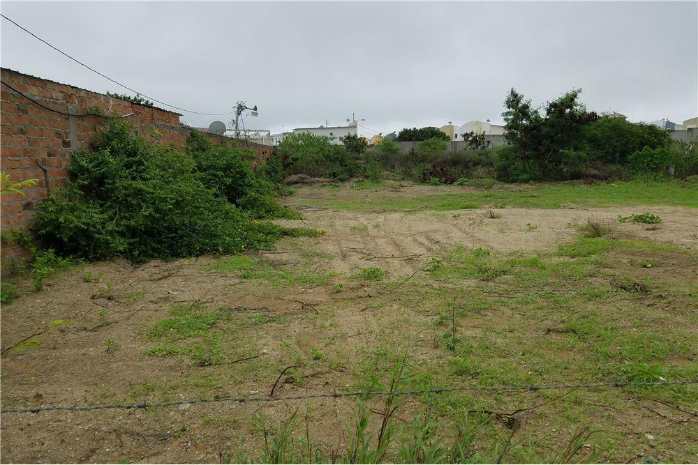 Terreno de Venta en Manta Zona Sur, Manabí — imagen 6
