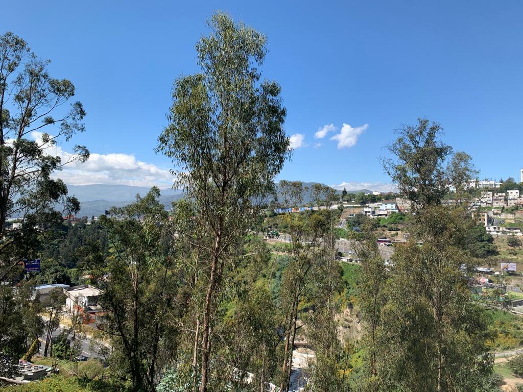 Venta Terrenos en Cumbaya — imagen 3