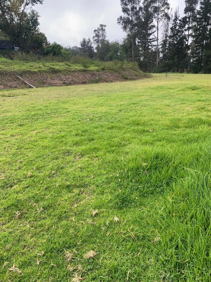 Vendo Hermosos Terrenos Planos Pifo Sector Andrango — imagen 9