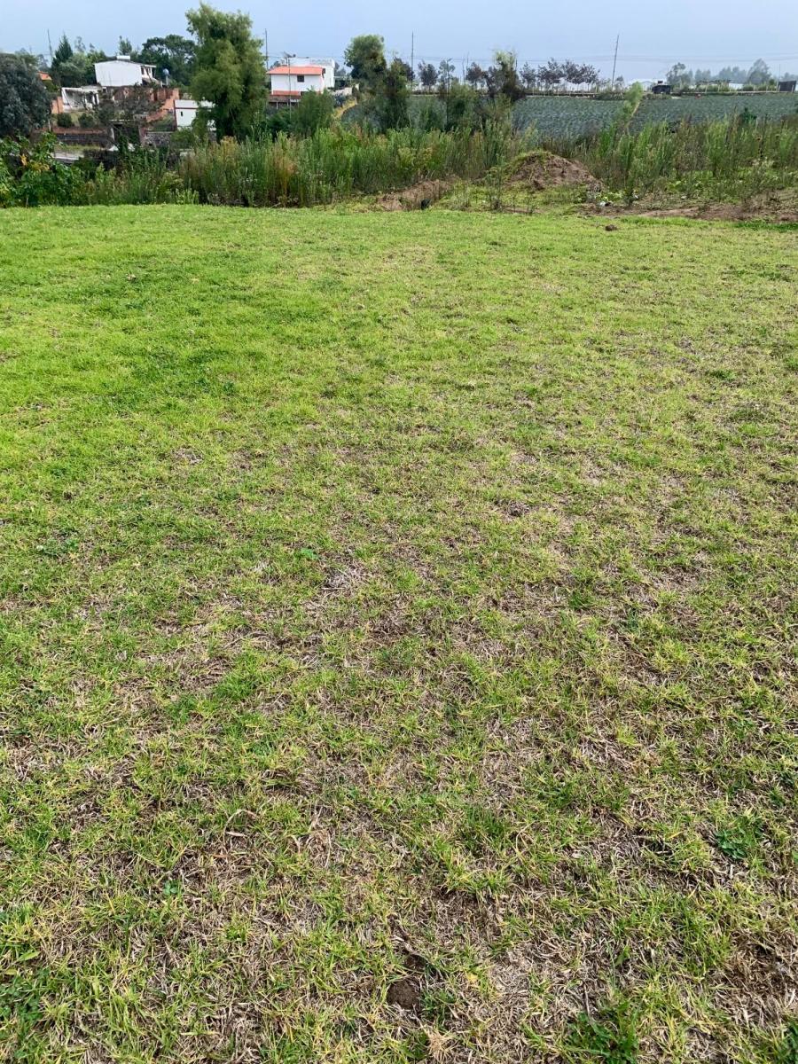 Vendo Hermosos Terrenos Planos Pifo Sector Andrango — imagen 7