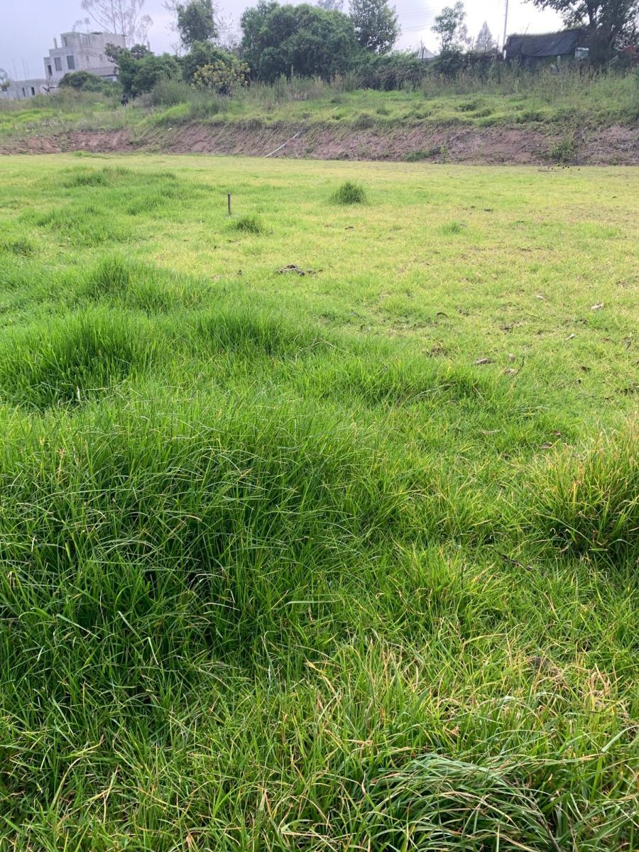 Vendo Hermosos Terrenos Planos Pifo Sector Andrango — imagen 6