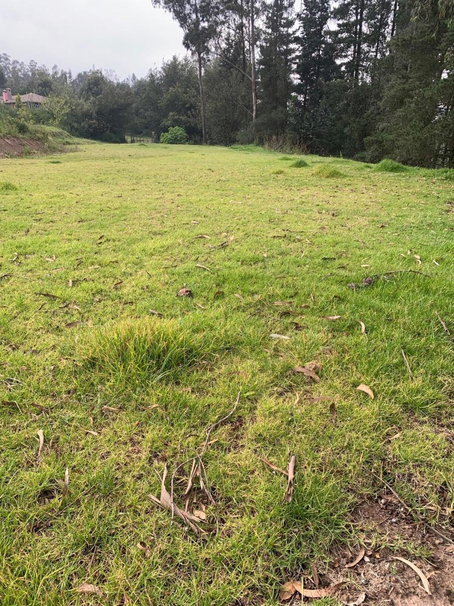 Vendo Hermosos Terrenos Planos Pifo Sector Andrango — imagen 5