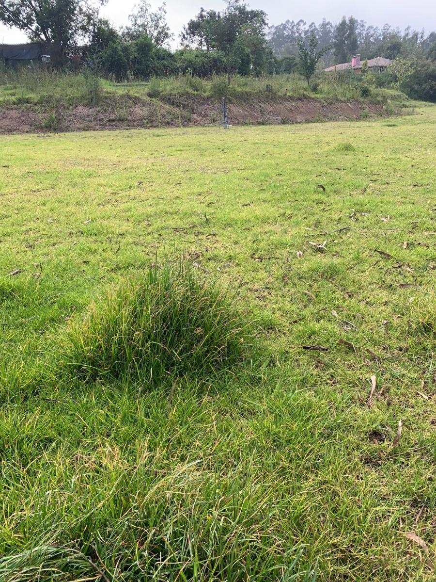 Vendo Hermosos Terrenos Planos Pifo Sector Andrango — imagen 3