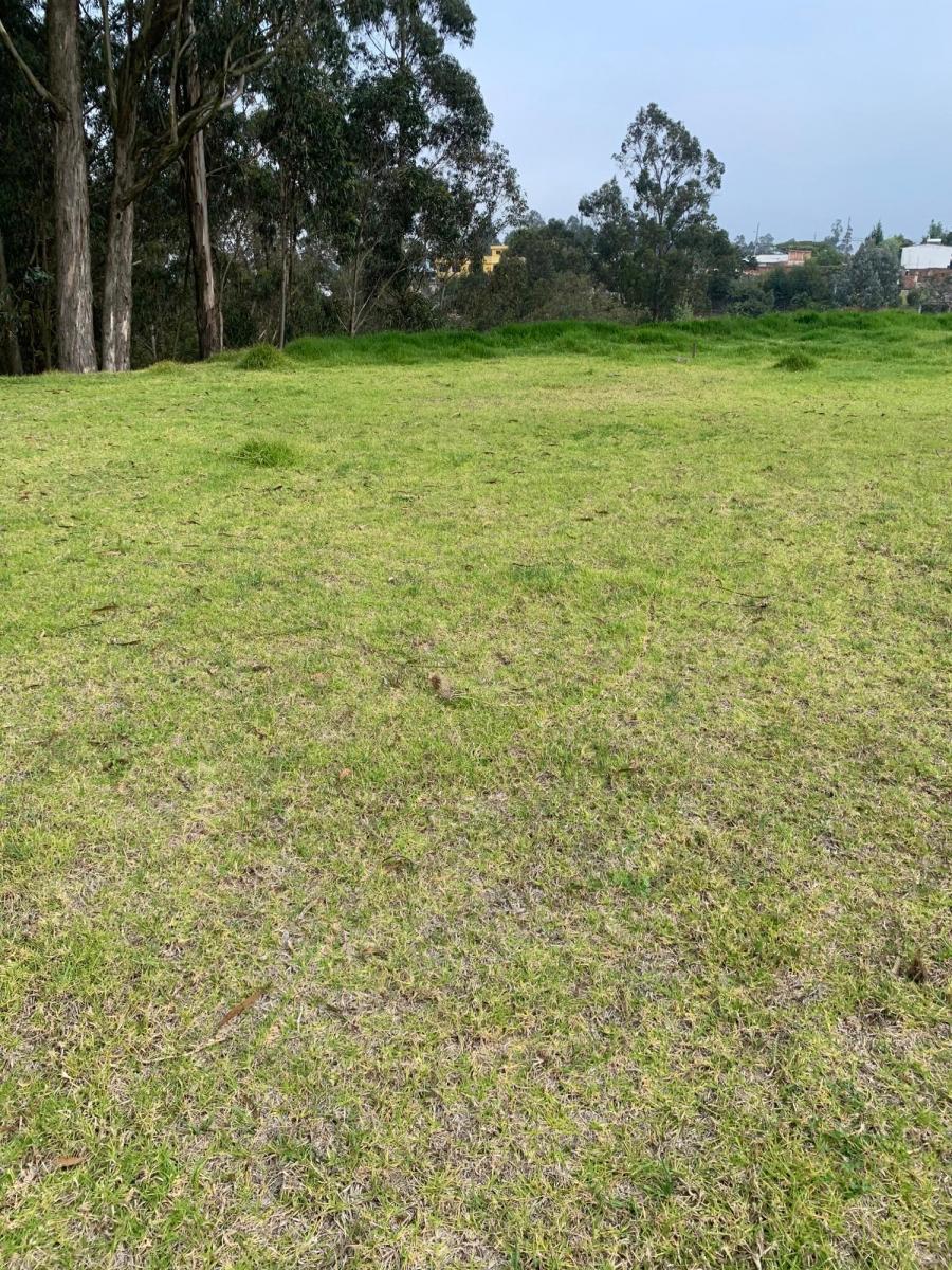 Vendo Hermosos Terrenos Planos Pifo Sector Andrango — imagen 2