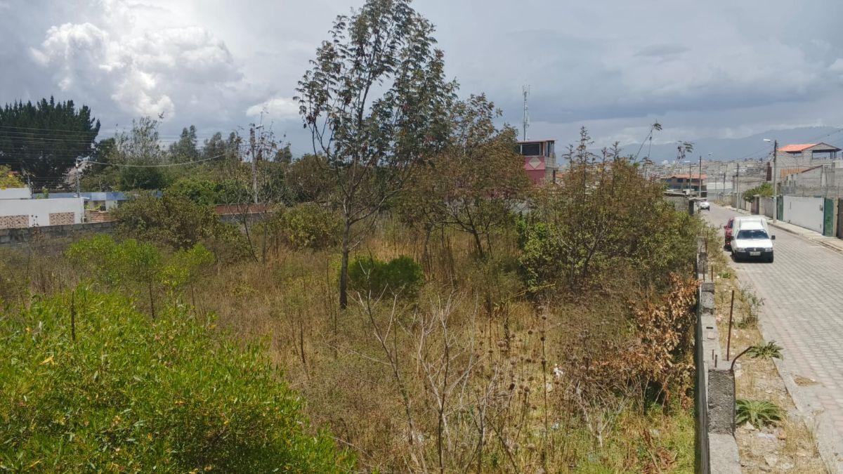 Terreno Calderon — imagen 5