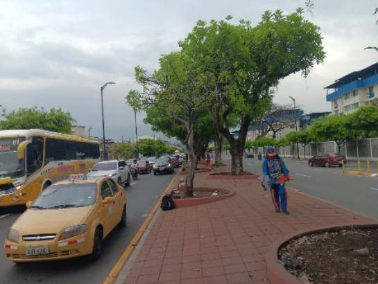 Venta Casa Rentera Esquinera – La Atarazana, Av Plaza Dañín, Norte de Guayaquil, Guayas — imagen 8