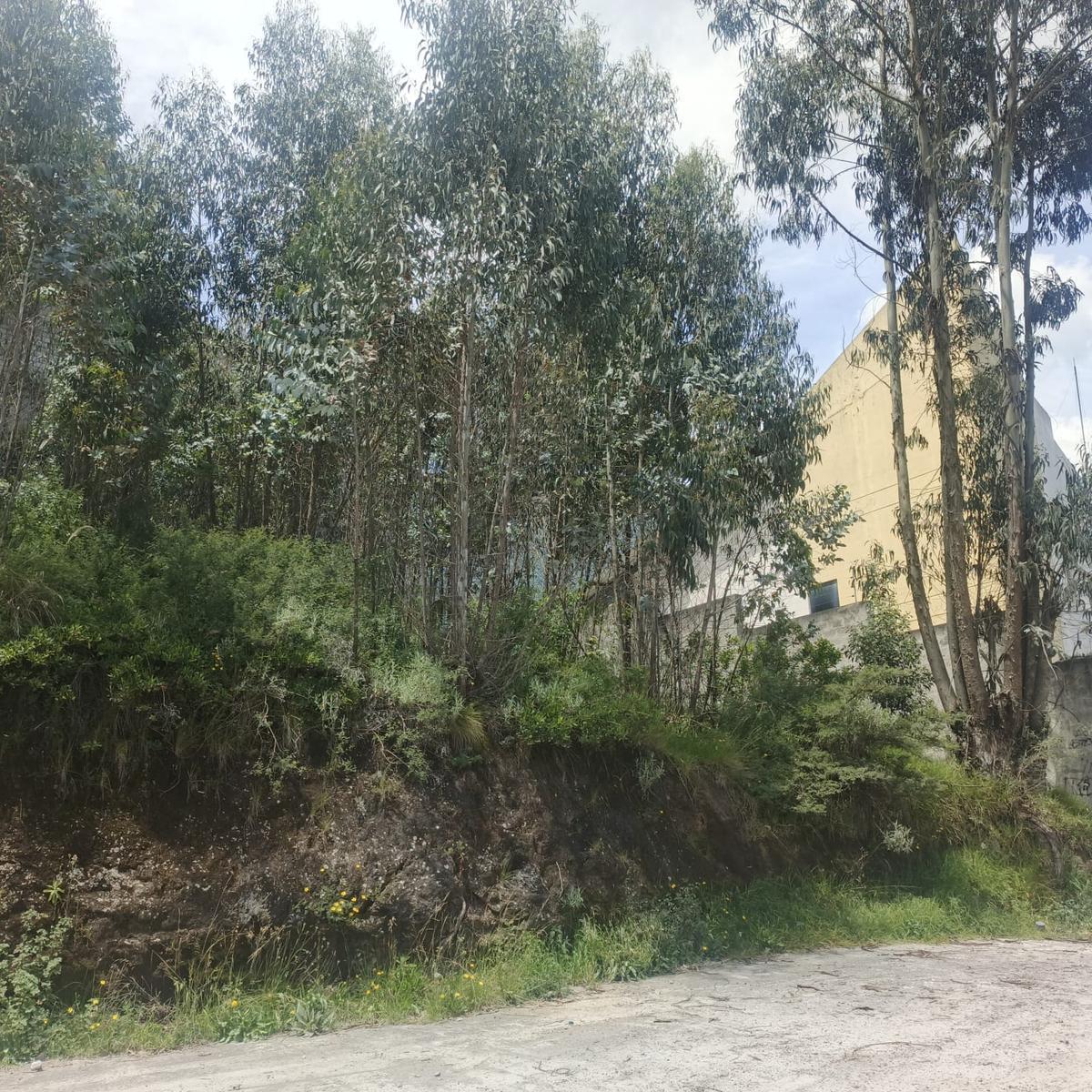 Terreno Norte Detras de Baguette — imagen 1