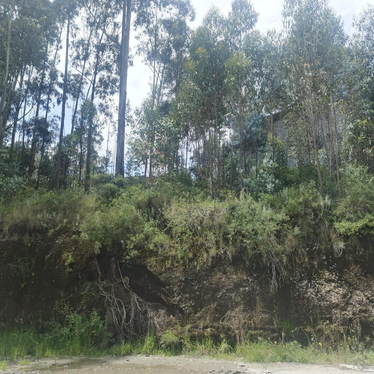 Terreno Norte Detras de Baguette — imagen 3