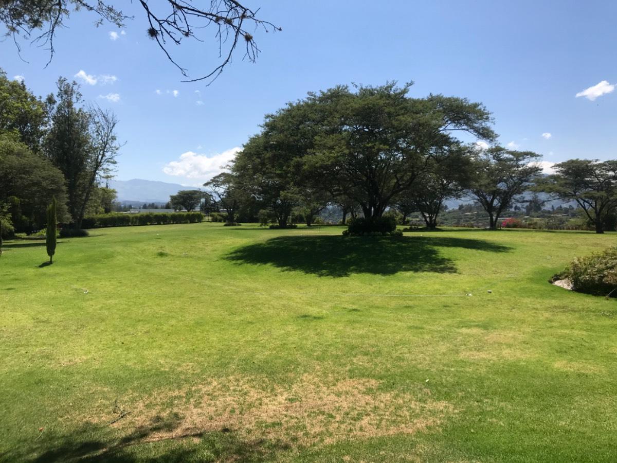 Puembo Sector Arrayanes Lotes Exclusivos — imagen 5