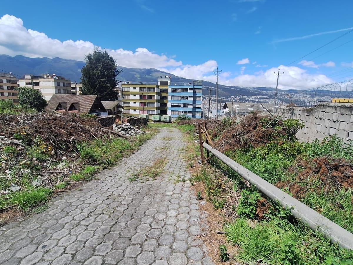Renta o Venta Terreno Sobre La Av Galo Plaza Laso Inf Cbr Carla del Pino — imagen 7