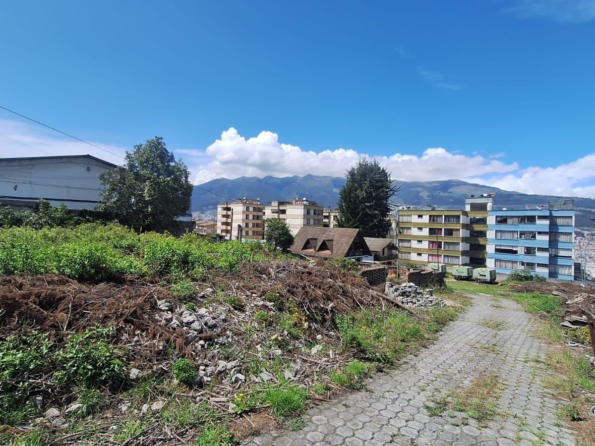 Renta o Venta Terreno Sobre La Av Galo Plaza Laso Inf Cbr Carla del Pino — imagen 6