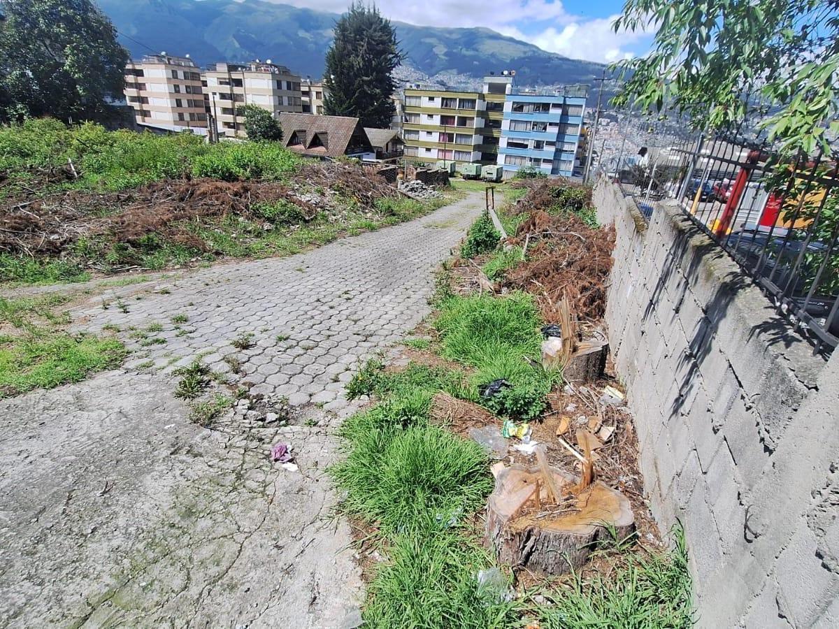 Renta o Venta Terreno Sobre La Av Galo Plaza Laso Inf Cbr Carla del Pino — imagen 5
