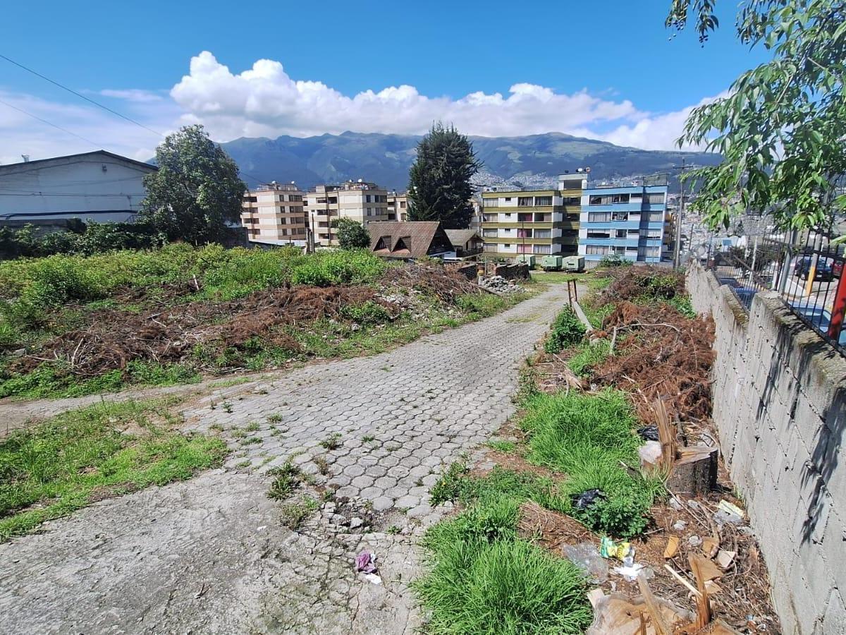 Renta o Venta Terreno Sobre La Av Galo Plaza Laso Inf Cbr Carla del Pino — imagen 4